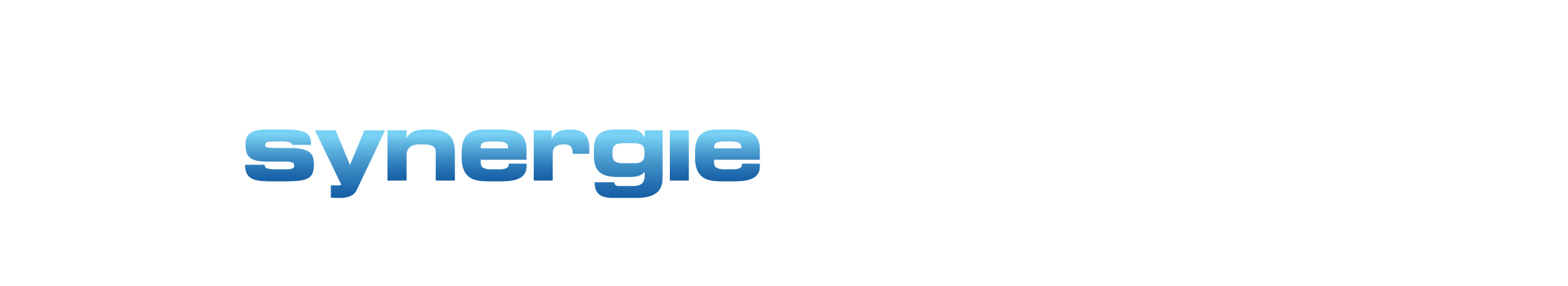 Synergie, LLC Logo