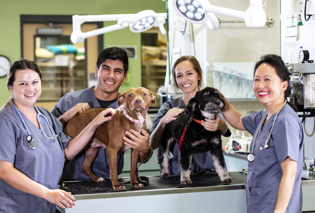 A group of four workers at an animal hospital, with two mixed-breed dogs. The mature Filipina woman on the right, in her 40s, is the veterinarian. The other women and the Hispanic man, in their 20s, are veterinary technicians. They are standing around an exam table, smiling at the camera.