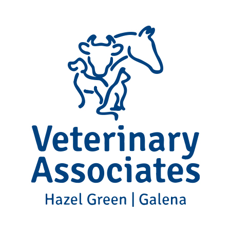Synergie Vet Associate Logo